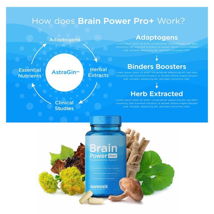 BrainPowerPro+